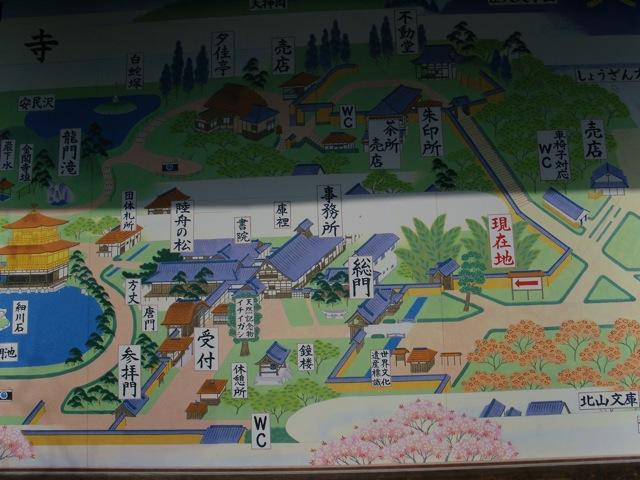 SNV11312.jpg